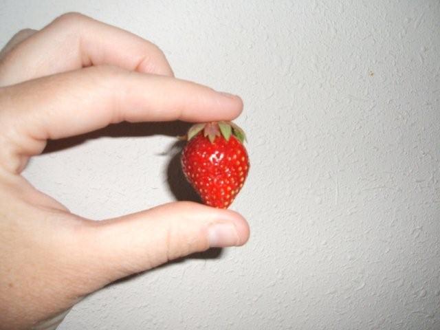 Strawberry