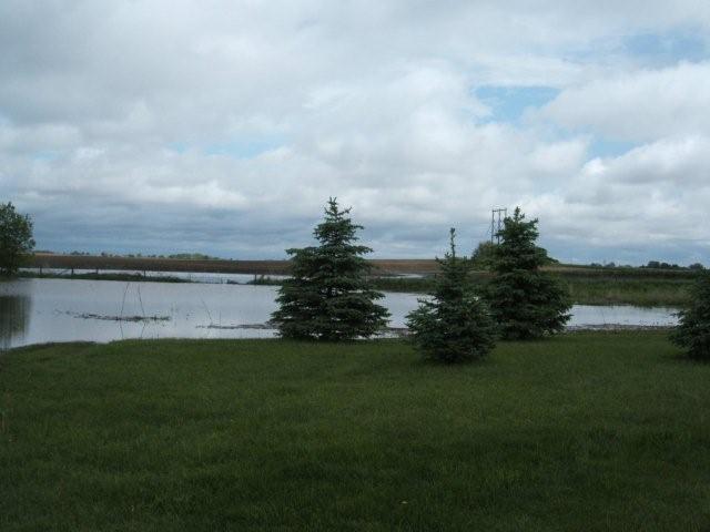 May Flood